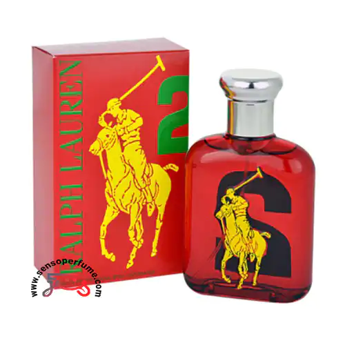 عطر ادکلن رالف لورن بیگ پونی مردانه ۲